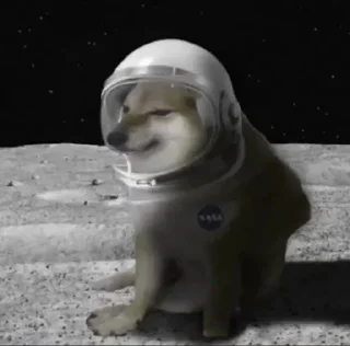 👩‍🚀