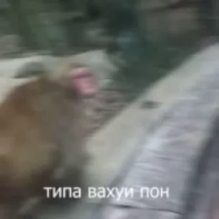 😱