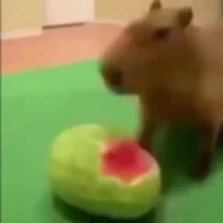 🍴