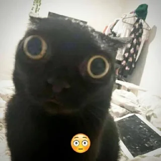 😳