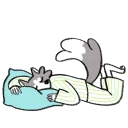 💤