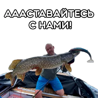 @volgabaitsteam