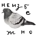 fafafa