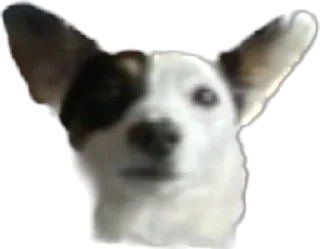 😤