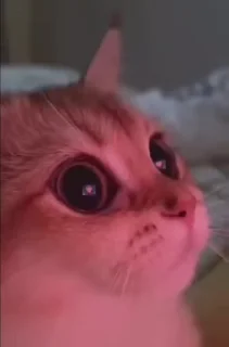😍