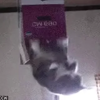 🏃