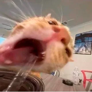 😝