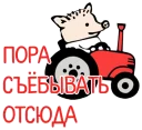 🐷