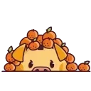🍊