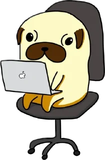 🧑‍💻