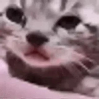 😭