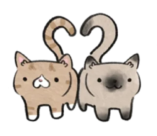 котя ! ₊`☽.࿔ @ims0ft