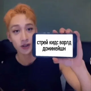 📲
