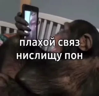 📱