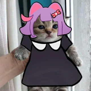 🙀
