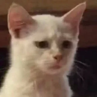 😒