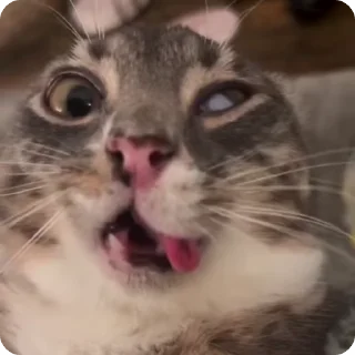👹