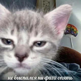 💒