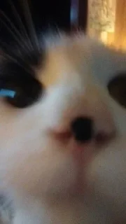 💒