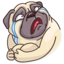 😭