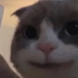 🤯