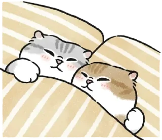 🛌