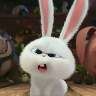 🤩