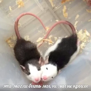 😍