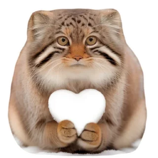 ❤️