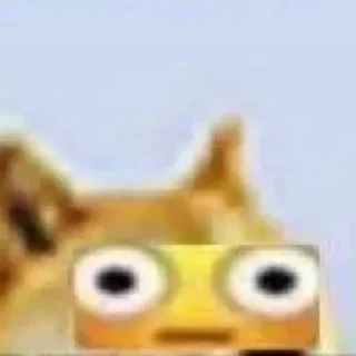 😳