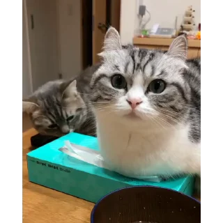 😀