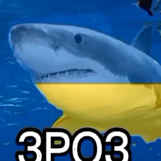 🐟