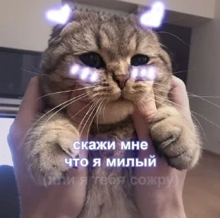 💜