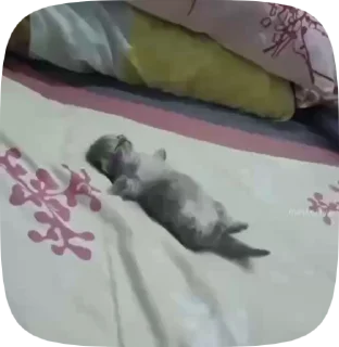 😴