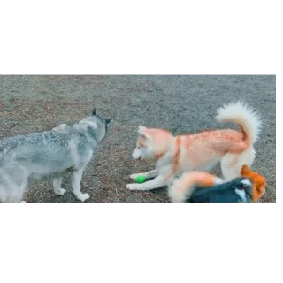 👍