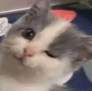 😉