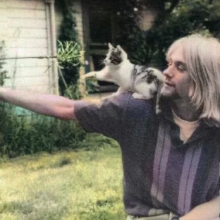🌟