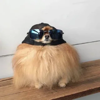 😎