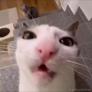 🤤
