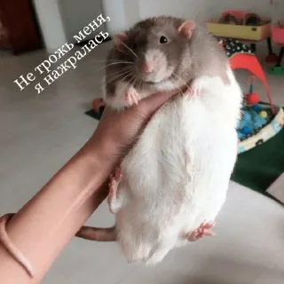 😡