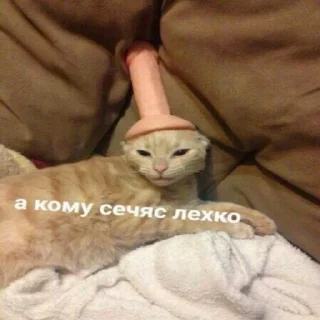 😓