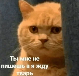 😐