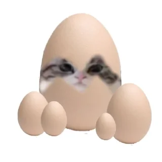 🥚