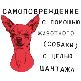 🐶