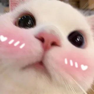❤️