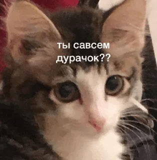 ☹️