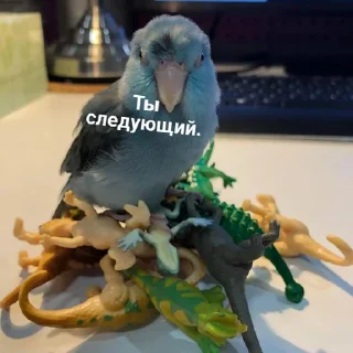 🤬
