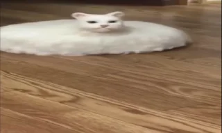 😳