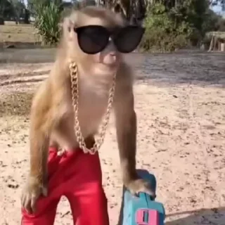 🌟