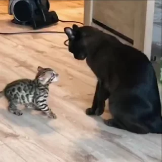 👊